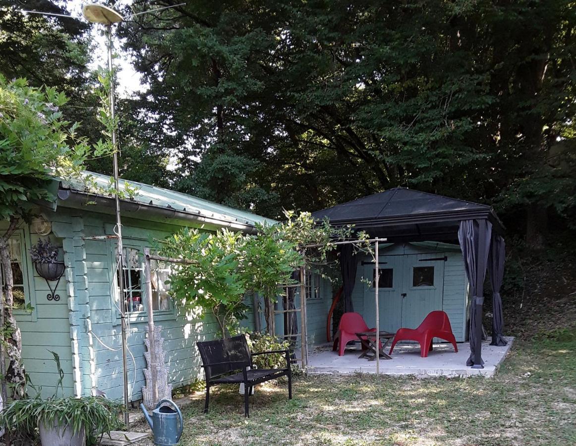 Le Chalet De La Grenouille Verte Tursac Bagian luar foto